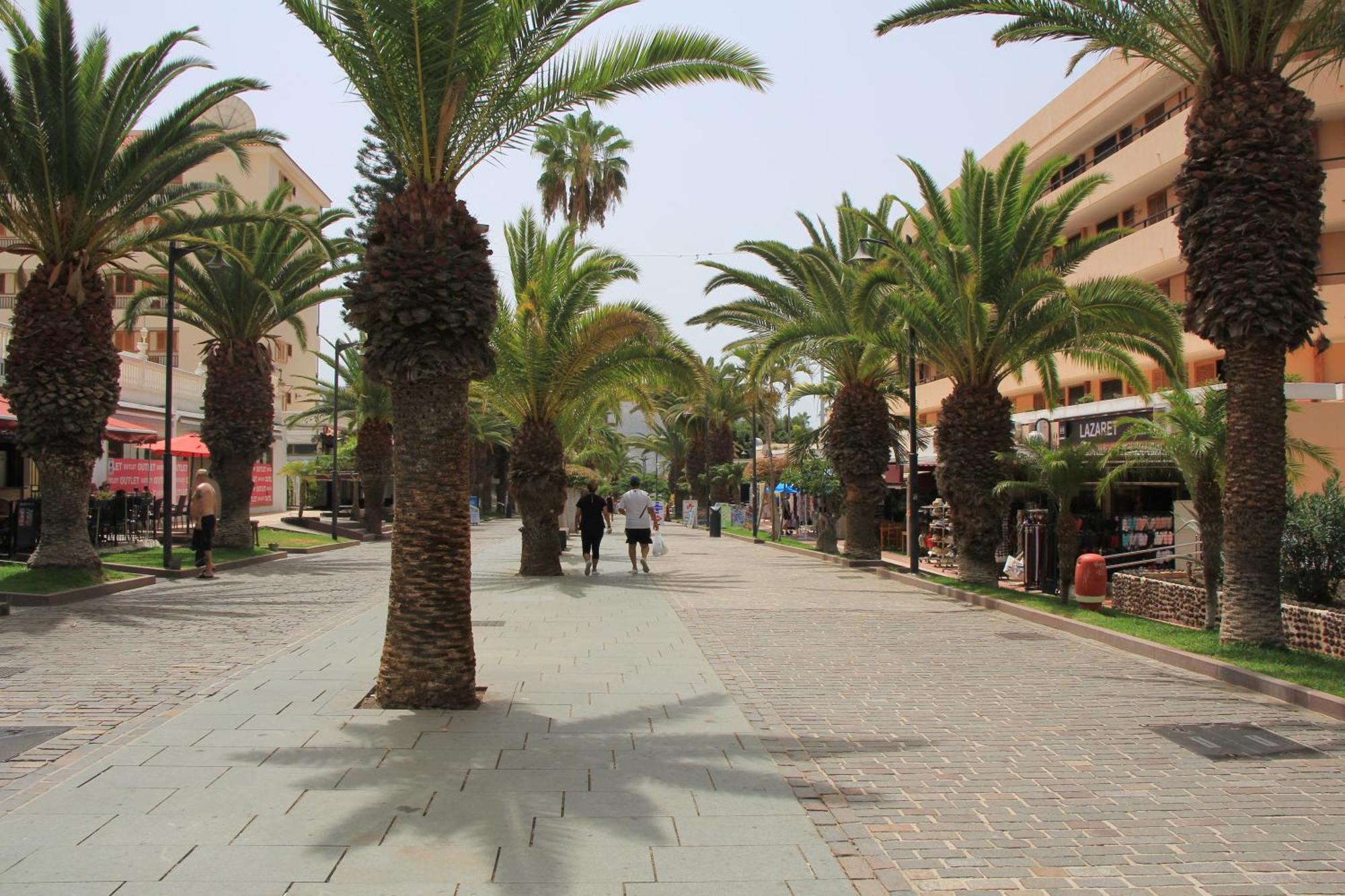 Los Cristianos - Two Bedrooms - Flayla-C Exterior photo