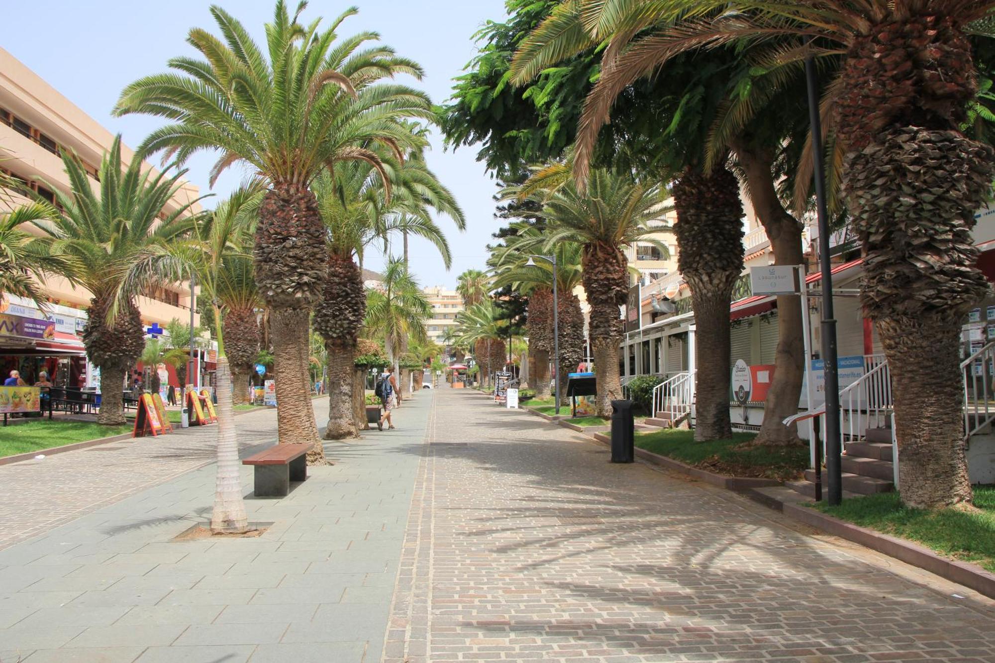 Los Cristianos - Two Bedrooms - Flayla-C Exterior photo